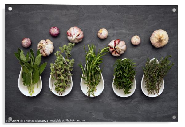 Still life, Fresh herbs in bowls an garlic on slate Acrylic by Thomas Klee