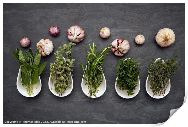 Still life, Fresh herbs in bowls an garlic on slate Print by Thomas Klee