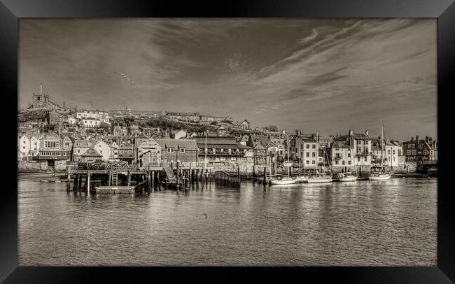 Whitby Harbour Framed Print by Alan Matkin