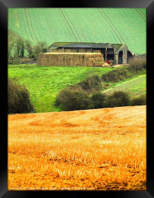 On the Farm Framed Print by Stephen Hamer