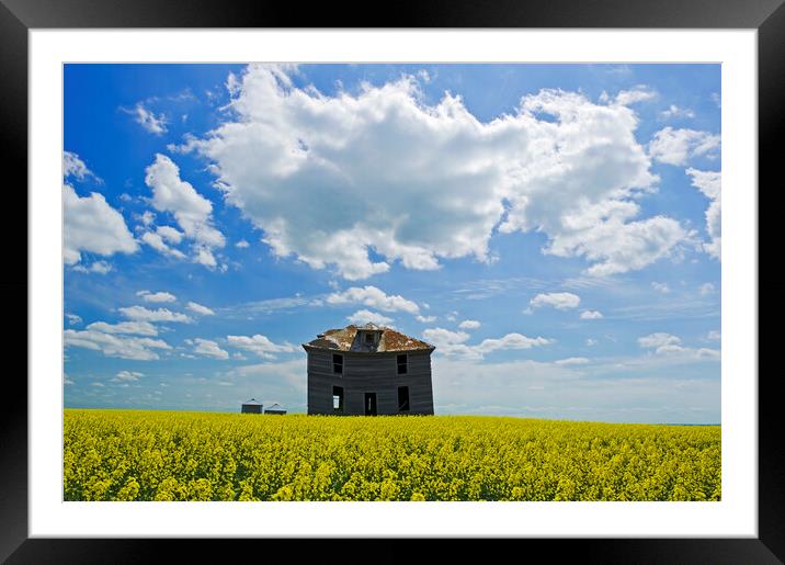 abandoned farm house Framed Mounted Print by Dave Reede