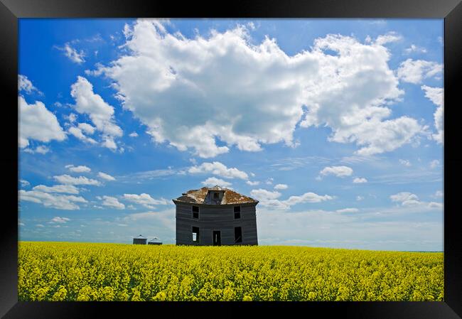 abandoned farm house Framed Print by Dave Reede