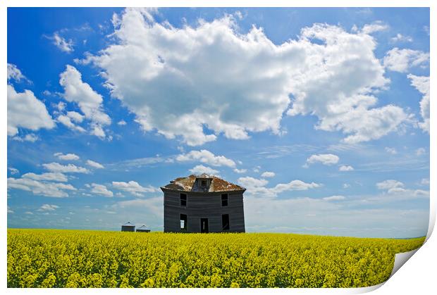 abandoned farm house Print by Dave Reede