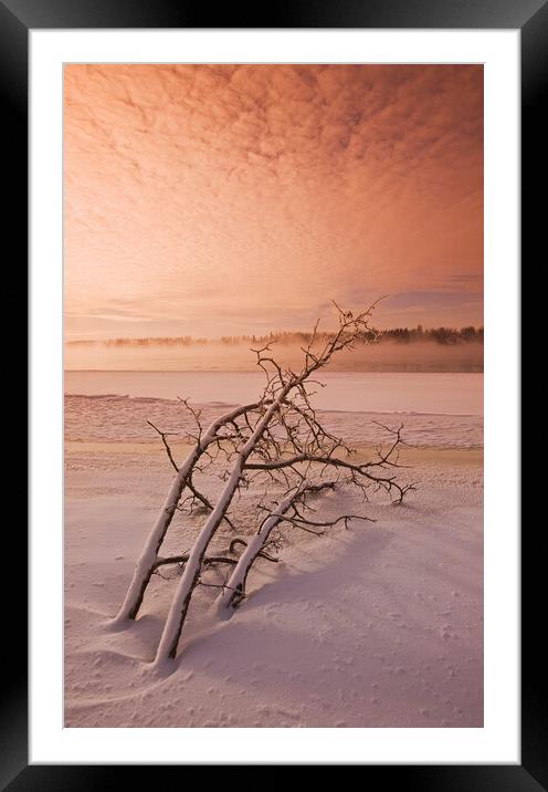 winter along the Winnipeg River Framed Mounted Print by Dave Reede