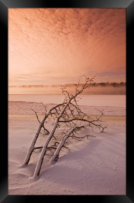 winter along the Winnipeg River Framed Print by Dave Reede