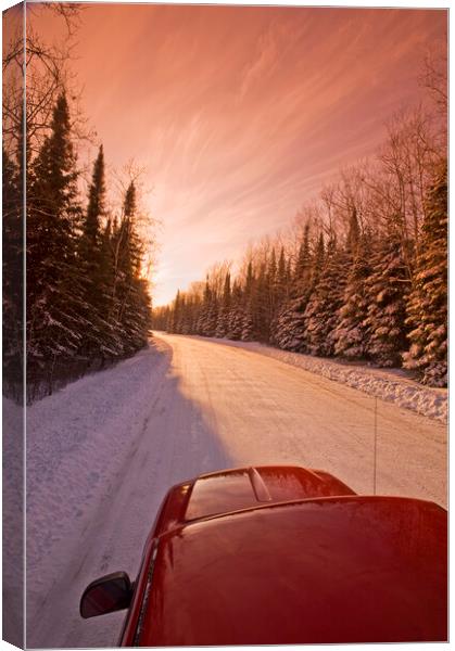 Winter Road Canvas Print by Dave Reede