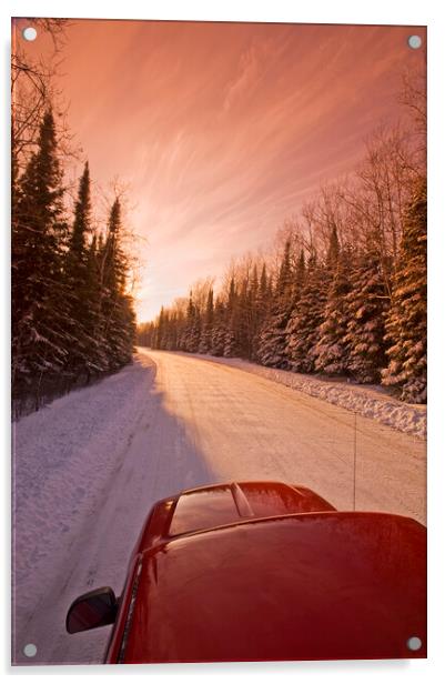 Winter Road Acrylic by Dave Reede