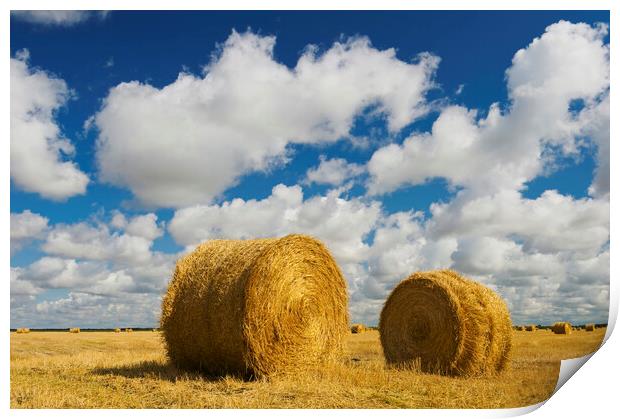 round straw bales in stubble field Print by Dave Reede