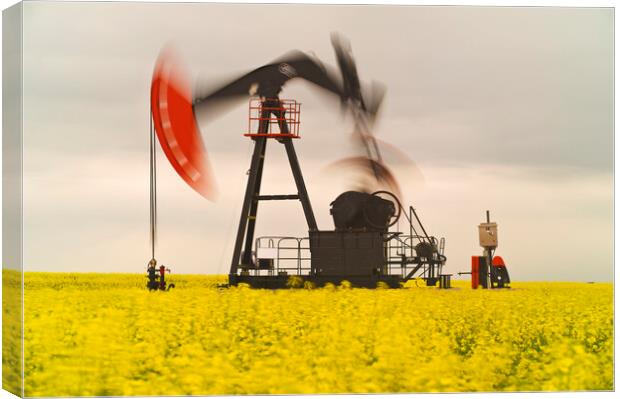 bloom stage canola field with moving oil pumpjack Canvas Print by Dave Reede