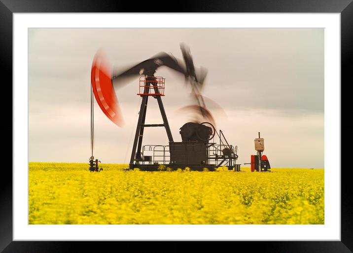 bloom stage canola field with moving oil pumpjack Framed Mounted Print by Dave Reede