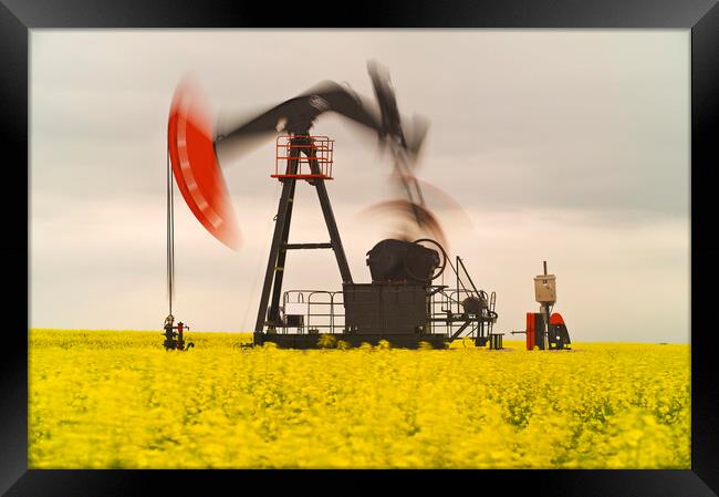 bloom stage canola field with moving oil pumpjack Framed Print by Dave Reede
