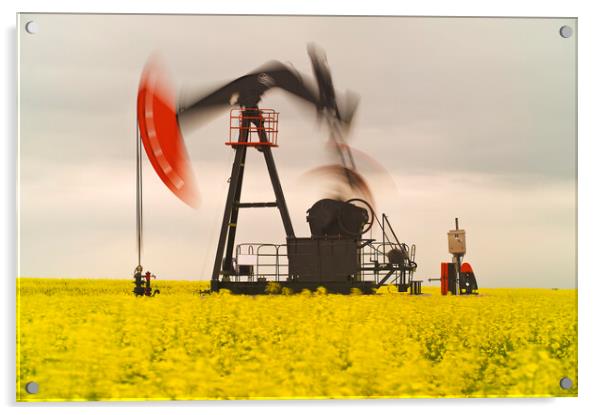 bloom stage canola field with moving oil pumpjack Acrylic by Dave Reede