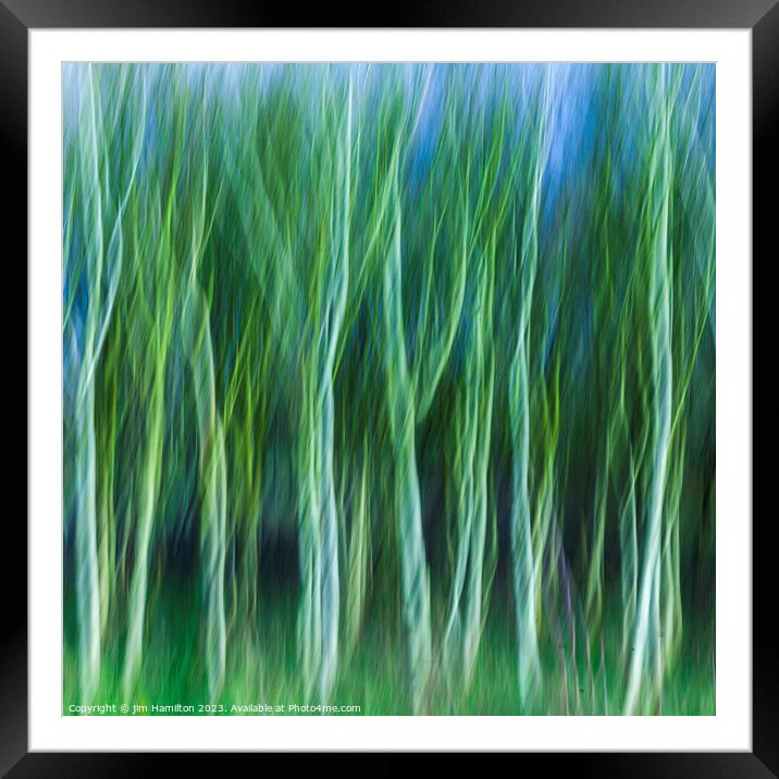 Trees in motion Framed Mounted Print by jim Hamilton