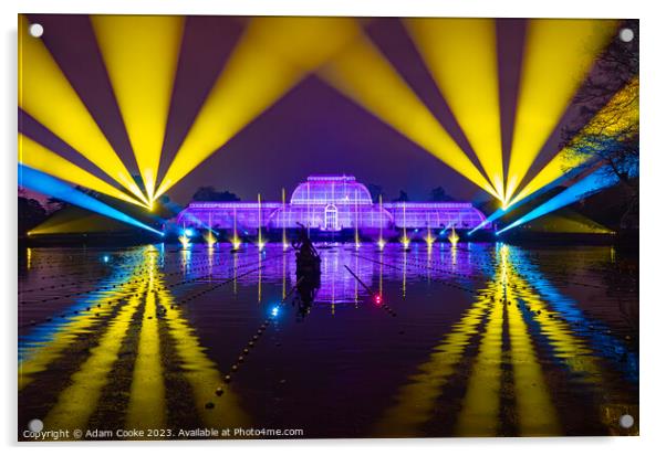 Kew Gardens Light Trail | London Acrylic by Adam Cooke