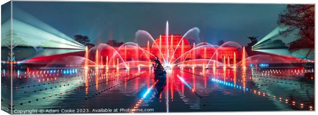 Kew Gardens Light Show | London Canvas Print by Adam Cooke