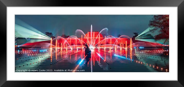 Kew Gardens Light Show | London Framed Mounted Print by Adam Cooke