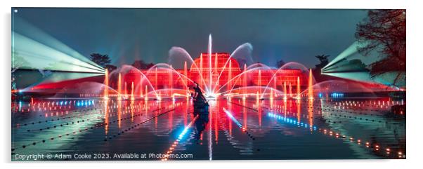 Kew Gardens Light Show | London Acrylic by Adam Cooke