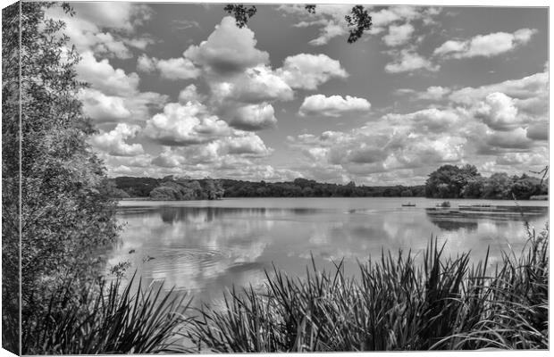 Little Marlow Lakes Country Park, Canvas Print by Kevin Hellon