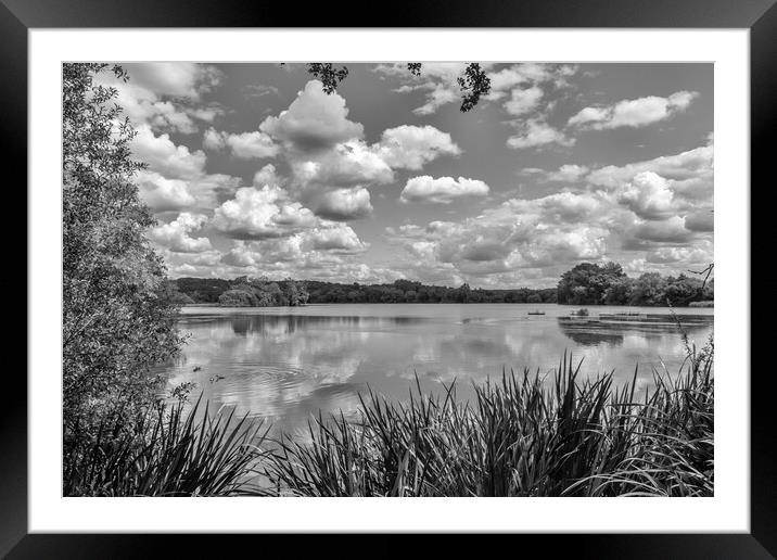 Little Marlow Lakes Country Park, Framed Mounted Print by Kevin Hellon