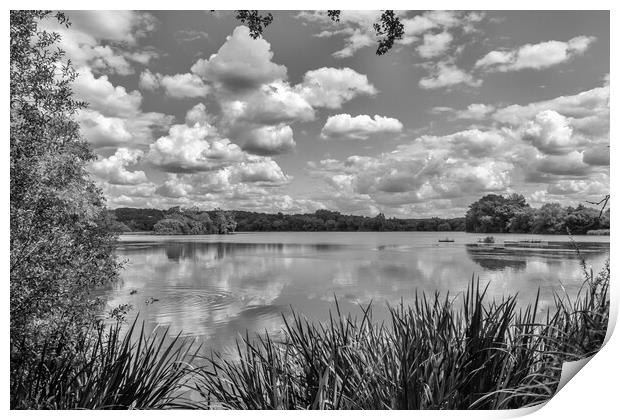 Little Marlow Lakes Country Park, Print by Kevin Hellon