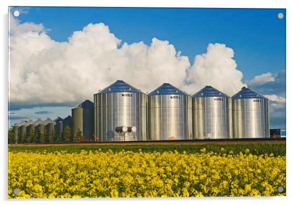 bloom stage canola with grain bins Acrylic by Dave Reede