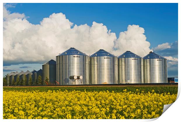 bloom stage canola with grain bins Print by Dave Reede