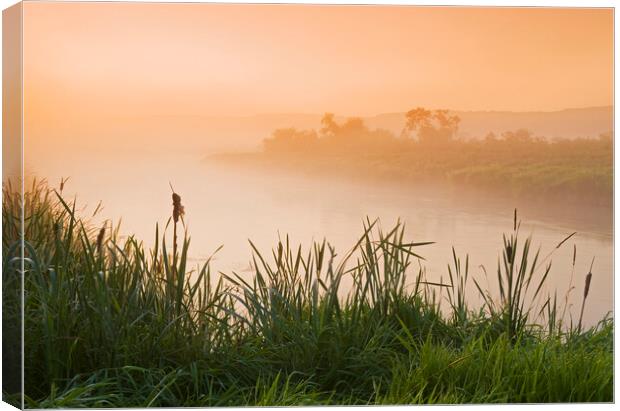 morning along the Qu´Appelle  River Canvas Print by Dave Reede
