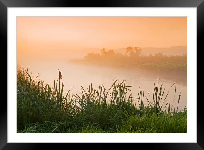 morning along the Qu´Appelle  River Framed Mounted Print by Dave Reede
