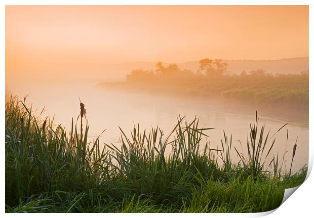 morning along the Qu´Appelle  River Print by Dave Reede