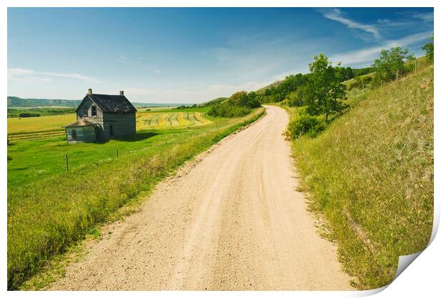 country backroad  though hills Print by Dave Reede