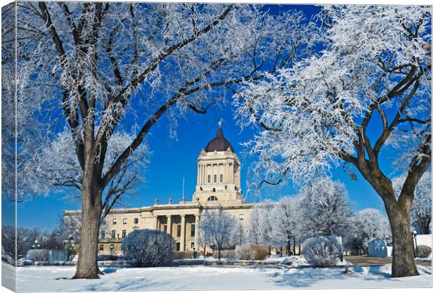 hoarfrost on trees with Manitoba Legislative Building in the background Canvas Print by Dave Reede