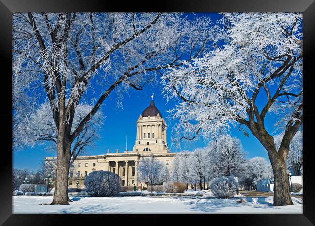 hoarfrost on trees with Manitoba Legislative Building in the background Framed Print by Dave Reede