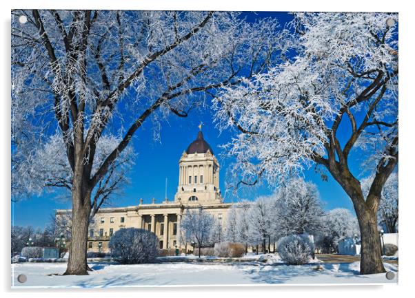 hoarfrost on trees with Manitoba Legislative Building in the background Acrylic by Dave Reede