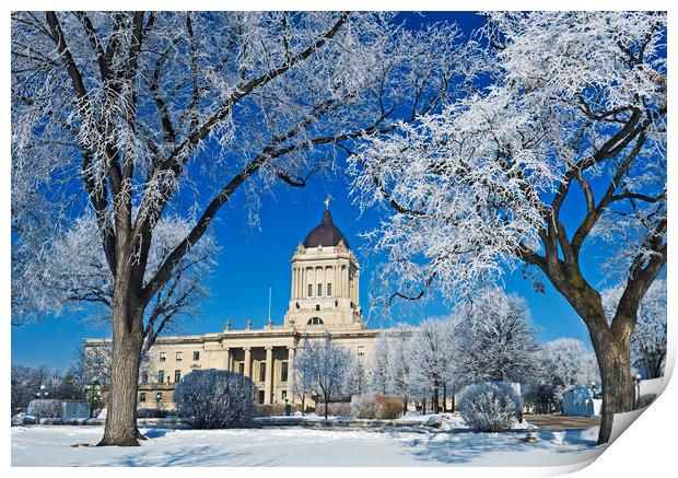 hoarfrost on trees with Manitoba Legislative Building in the background Print by Dave Reede