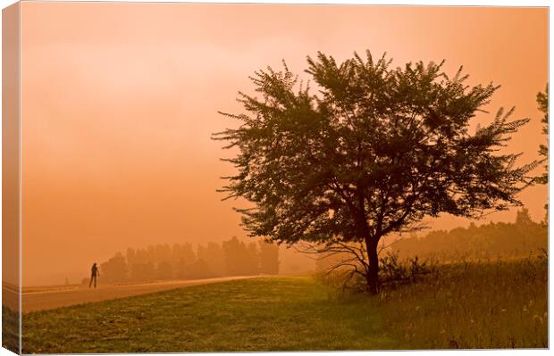 Lone Bladder Canvas Print by Dave Reede