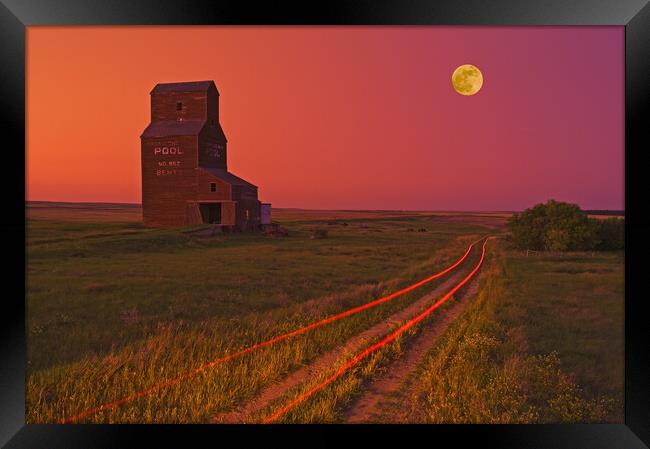 old grain elevator, abandoned town of Bents Framed Print by Dave Reede
