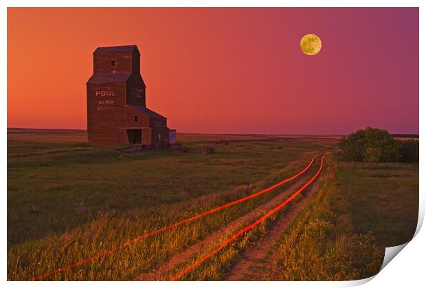 old grain elevator, abandoned town of Bents Print by Dave Reede