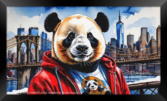 BROOKLYN PANDA 10 Framed Print by OTIS PORRITT