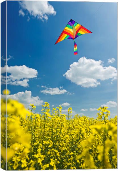 kite over field Canvas Print by Dave Reede