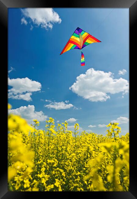 kite over field Framed Print by Dave Reede