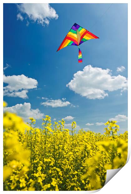kite over field Print by Dave Reede