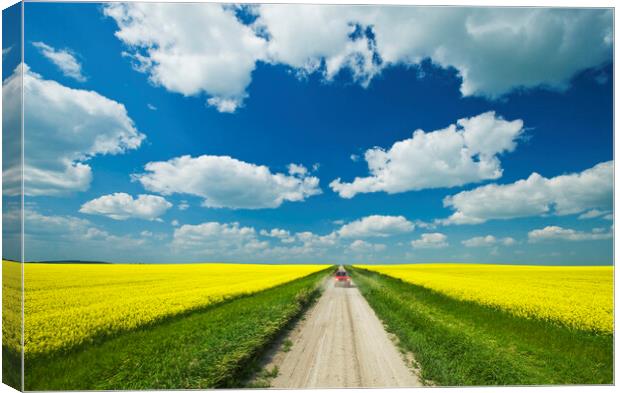 road through farmland with canola on both sides Canvas Print by Dave Reede