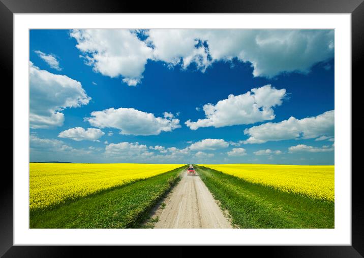 road through farmland with canola on both sides Framed Mounted Print by Dave Reede