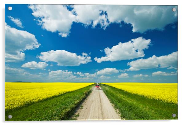 road through farmland with canola on both sides Acrylic by Dave Reede
