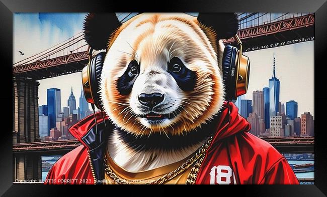 BROOKLYN PANDA 9 Framed Print by OTIS PORRITT