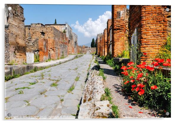 Pompeii Back Street Acrylic by Diana Mower