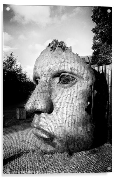 The Mask Acrylic by Chris Harris