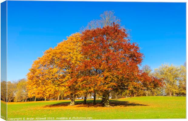 Roundhay Park Autumn Canvas Print by Bryan Attewell