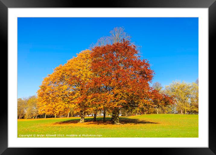 Roundhay Park Autumn Framed Mounted Print by Bryan Attewell