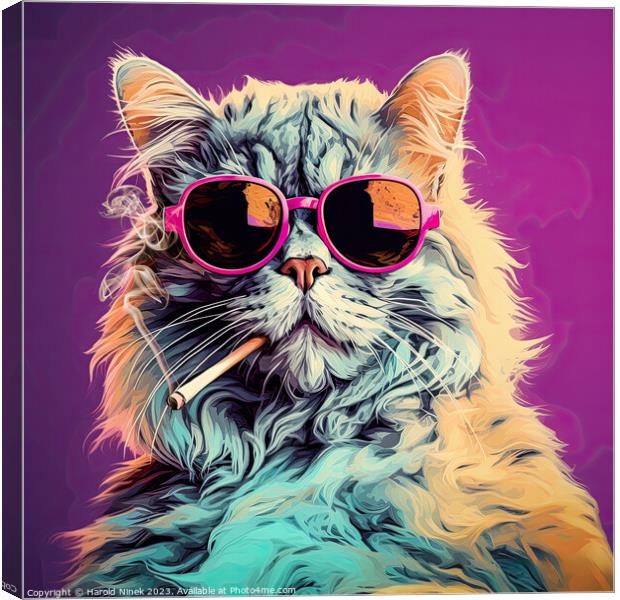 Cool Cat Canvas Print by Harold Ninek